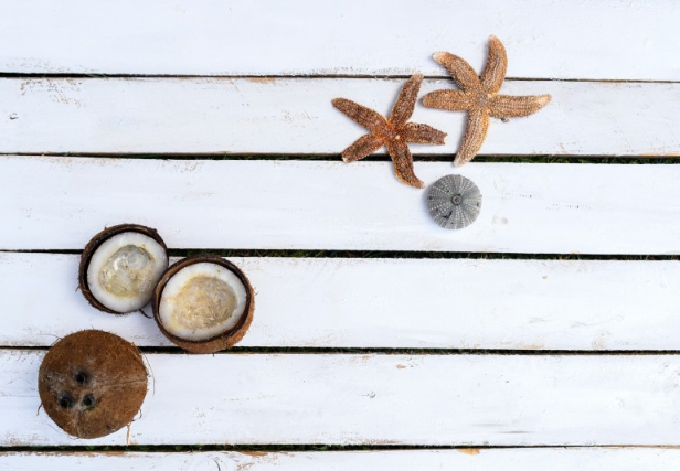 椰肉可以直接生吃嗎 椰肉直接吃好嗎 椰肉可以直接生吃嗎 椰肉直接吃好嗎