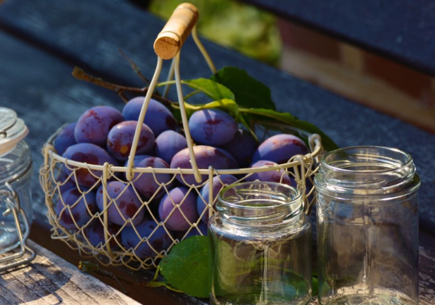 西梅泥怎么做給寶寶吃 西梅泥適合多大寶寶 西梅泥怎么做給寶寶吃 西梅泥適合多大寶寶