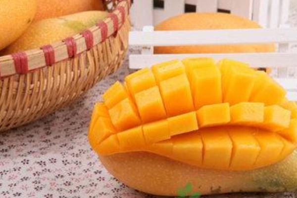 芒果有止血的作用嗎 吃芒果的副作用 芒果有止血的作用嗎 吃芒果的副作用
