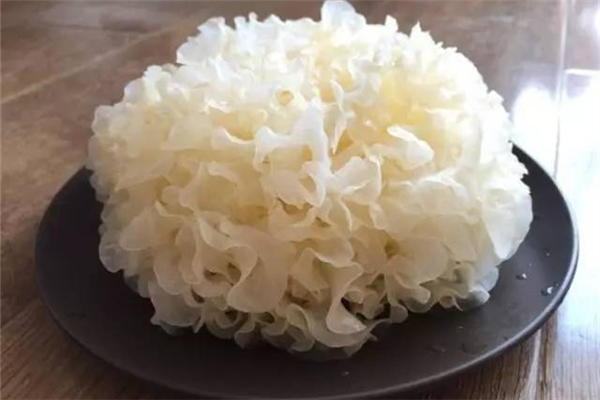 銀耳美容養(yǎng)顏嗎 銀耳會長胖嗎