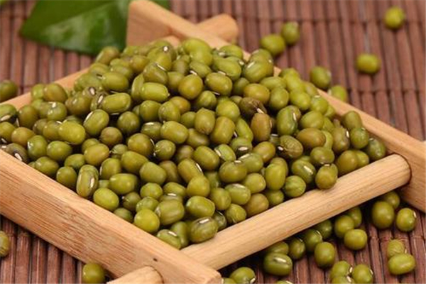 綠豆能解毒嗎 綠豆什么季節(jié)最適合吃 綠豆能解毒嗎 綠豆什么季節(jié)最適合吃