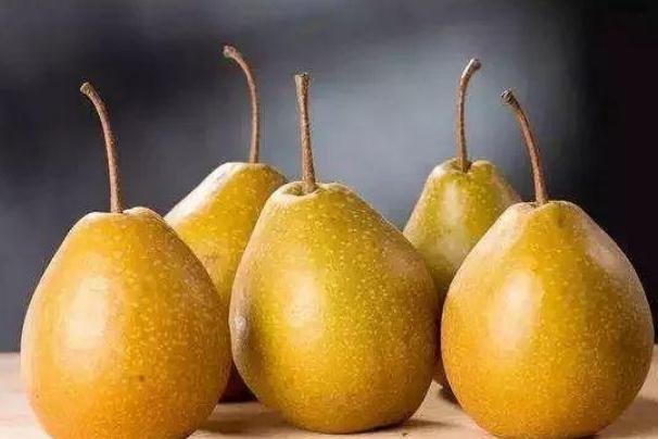 梨子可以煮著吃嗎 梨子煮熟吃有什么功效與作用 梨子可以煮著吃嗎 梨子煮熟吃有什么功效與作用