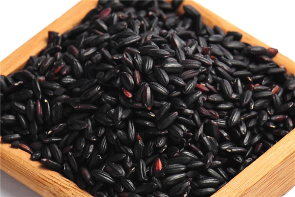 黑米如何辨別真假 怎么挑選黑米 黑米如何辨別真假 怎么挑選黑米