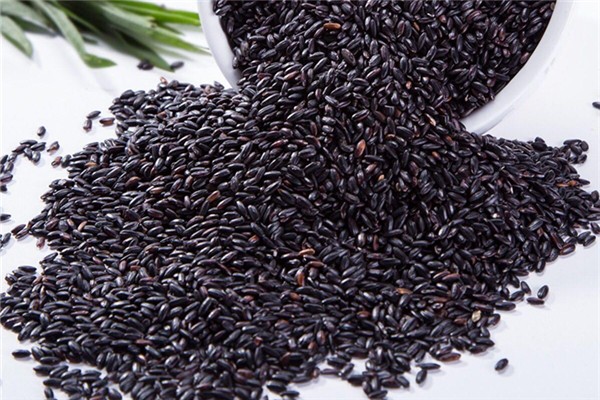 黑米如何辨別真假 怎么挑選黑米 黑米如何辨別真假 怎么挑選黑米