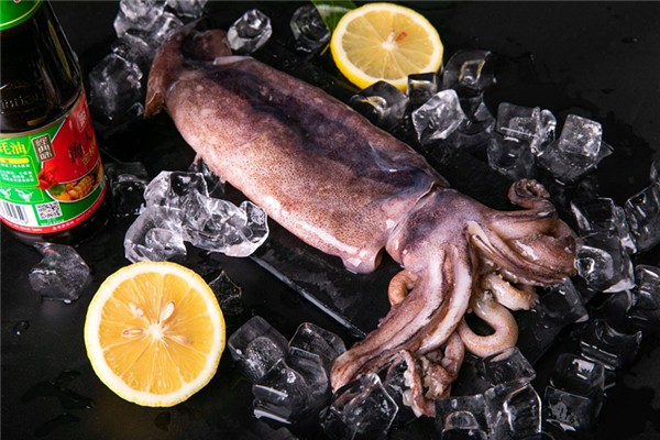 魷魚(yú)怎么看新不新鮮 魷魚(yú)怎么挑選