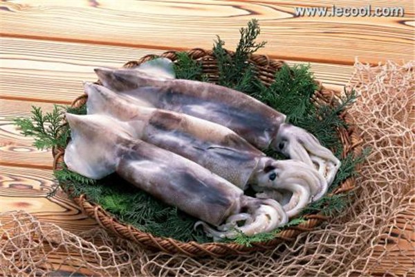 魷魚(yú)怎么看新不新鮮 魷魚(yú)怎么挑選
