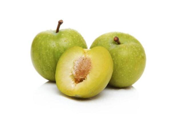 李子是什么季節(jié)水果 李子什么時候成熟 李子是什么季節(jié)水果 李子什么時候成熟