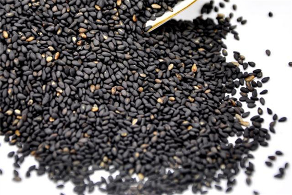 黑芝麻怎么辨別真假 黑芝麻變質(zhì)了什么樣 黑芝麻怎么辨別真假 黑芝麻變質(zhì)了什么樣