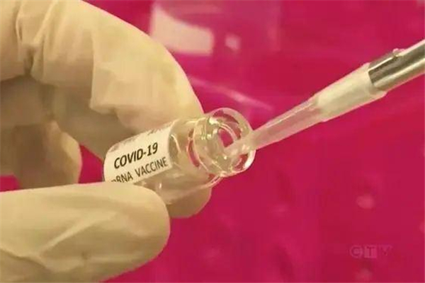 新冠疫苗第二針能不能推遲 新冠疫苗第二針不打會(huì)怎么樣 新冠疫苗第二針能不能推遲 新冠疫苗第二針不打會(huì)怎么樣