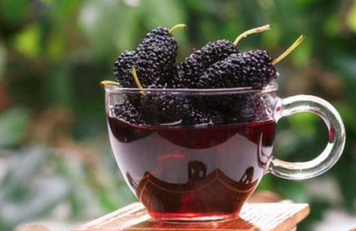 自制桑葚酒的正確方法與詳細(xì)步驟 自制桑葚酒的正確方法與詳細(xì)步驟