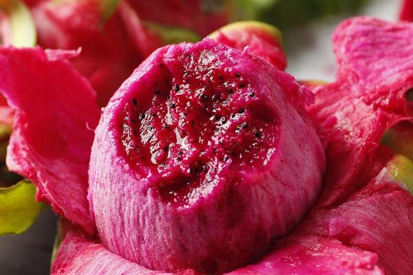 吃火龍果拉肚子是什么原因 吃火龍果對身體有什么好處 吃火龍果拉肚子是什么原因 吃火龍果對身體有什么好處