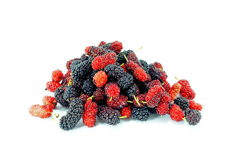 桑葚子有什么營養(yǎng)價值 桑葚子怎么清洗才干凈 桑葚子有什么營養(yǎng)價值 桑葚子怎么清洗才干凈