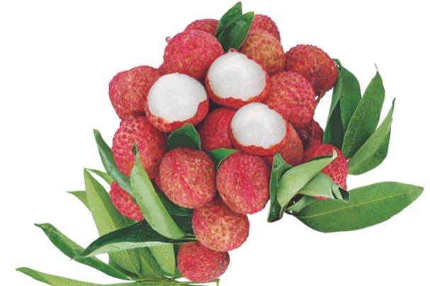 荔枝有多少品種 荔枝什么品種比較好吃 荔枝有多少品種 荔枝什么品種比較好吃