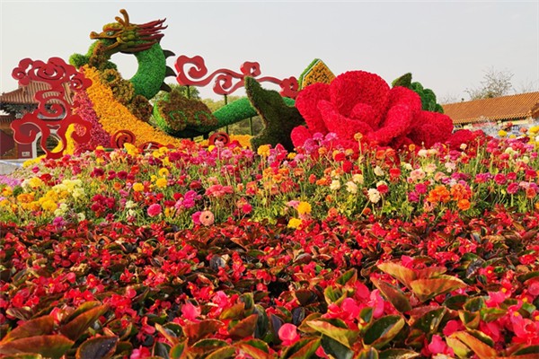 五一全國(guó)賞花地圖 五一去哪賞花好