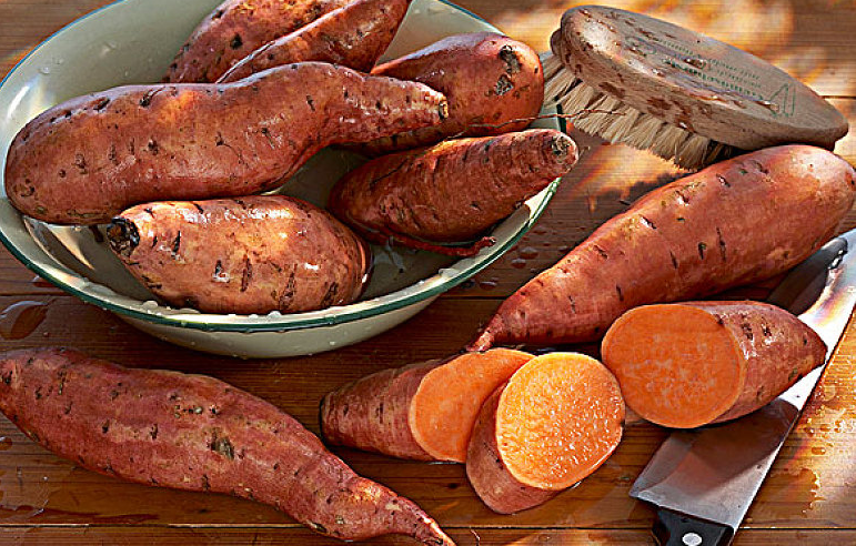 生吃紅薯的好處和壞處 生吃紅薯增肥還是減肥 生吃紅薯的好處和壞處 生吃紅薯增肥還是減肥