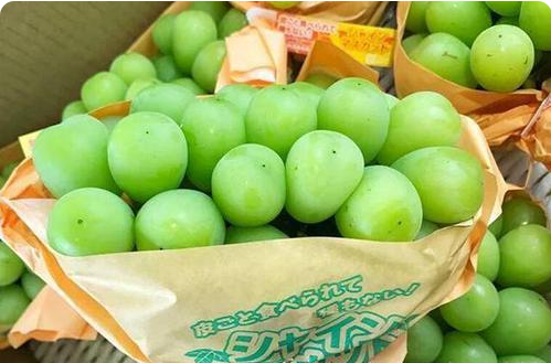 晴王葡萄一斤多少錢 晴王葡萄什么時候應(yīng)季