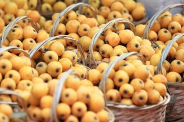 枇杷和什么不能同時食用 枇杷的飲食禁忌 枇杷和什么不能同時食用 枇杷的飲食禁忌