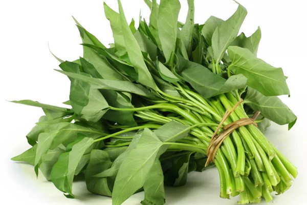 空心菜什么時(shí)候上市 空心菜什么季節(jié)吃最好 空心菜什么時(shí)候上市 空心菜什么季節(jié)吃最好