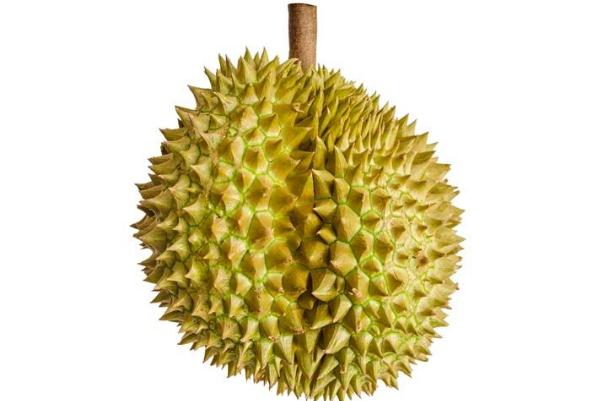 榴蓮可以緩解痛經么 榴蓮可以放多長時間