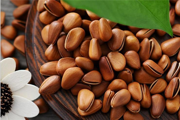 松子有點苦是怎么回事 松子苦了還能吃嗎