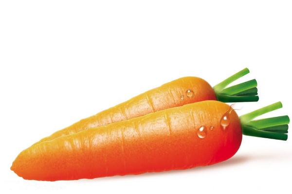 胡蘿卜的營(yíng)養(yǎng)成分 胡蘿卜怎么吃才有營(yíng)養(yǎng) 胡蘿卜的營(yíng)養(yǎng)成分 胡蘿卜怎么吃才有營(yíng)養(yǎng)