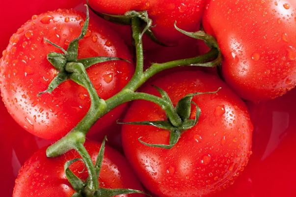 西紅柿能和羊肉一起吃嗎 西紅柿能和西瓜一起吃嗎 西紅柿能和羊肉一起吃嗎 西紅柿能和西瓜一起吃嗎