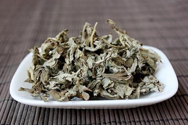 艾葉有毒性嗎 艾葉有激素嗎 艾葉有毒性嗎 艾葉有激素嗎