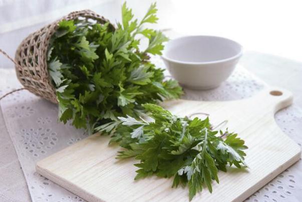 艾葉有幾種 艾葉什么品種最好 艾葉有幾種 艾葉什么品種最好