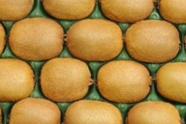 吃獼猴桃過(guò)敏什么癥狀 吃獼猴桃過(guò)敏怎樣緩解