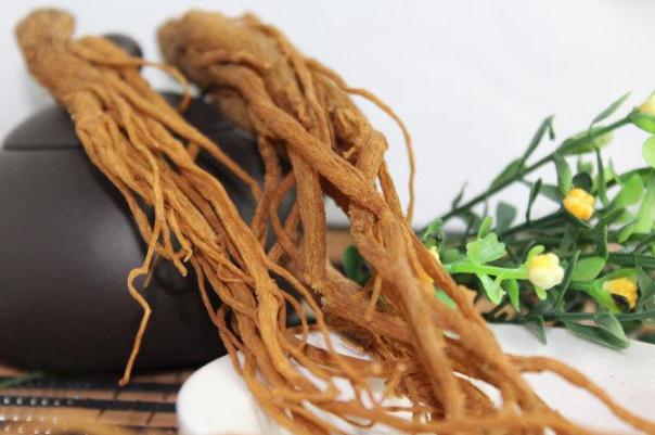 當(dāng)歸對子宮有什么好處 當(dāng)歸要煮多久才有效 當(dāng)歸對子宮有什么好處 當(dāng)歸要煮多久才有效