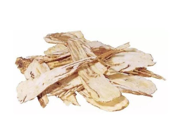 當歸對肝臟有損傷嗎 當歸對皮膚的功效與作用 當歸對肝臟有損傷嗎 當歸對皮膚的功效與作用