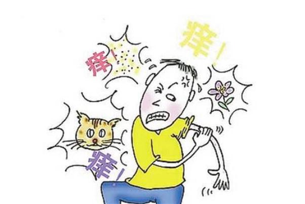 蕁麻疹的癥狀有哪些 蕁麻疹的治療方法哪種好 蕁麻疹的癥狀有哪些 蕁麻疹的治療方法哪種好