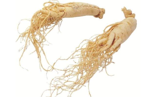 人參為什么不能和蘿卜同食 人參和蘿卜一起吃會(huì)怎么樣 人參為什么不能和蘿卜同食 人參和蘿卜一起吃會(huì)怎么樣