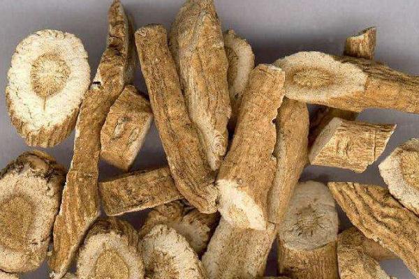 板藍根是風寒還是風熱 板藍根是消炎藥嗎 板藍根是風寒還是風熱 板藍根是消炎藥嗎