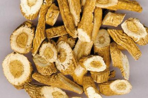 板藍根是風寒還是風熱 板藍根是消炎藥嗎 板藍根是風寒還是風熱 板藍根是消炎藥嗎