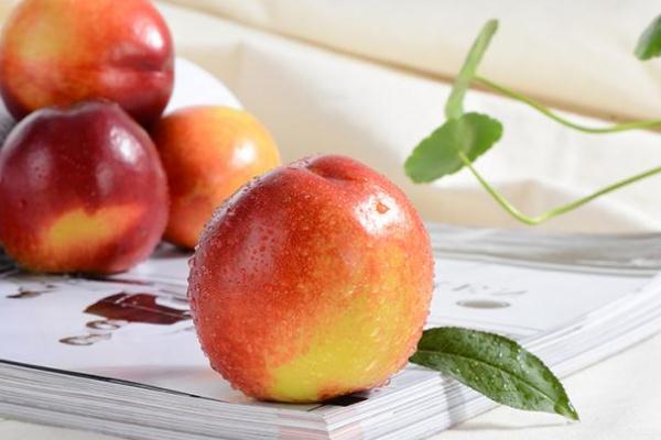 吃油桃可以喝牛奶嗎 吃油桃能喝酸奶嗎 吃油桃可以喝牛奶嗎 吃油桃能喝酸奶嗎