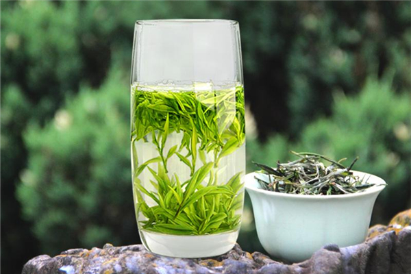 綠茶喝起來(lái)澀正常嗎 綠茶正確的沖泡方法