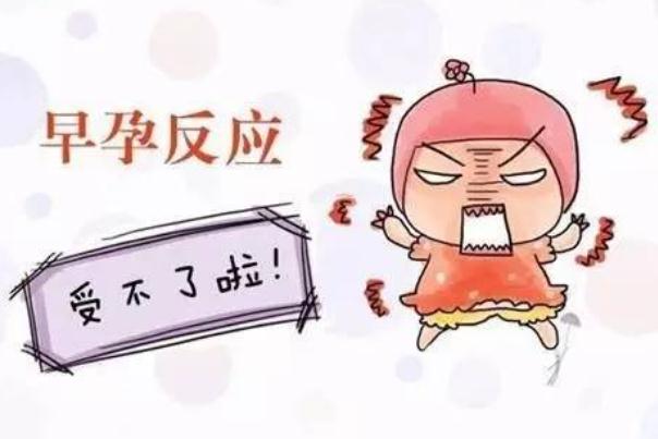 妊娠反應一般多久會消失 妊娠反應一般持續(xù)多久