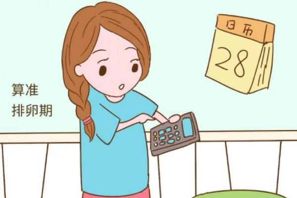 排卵期怎么算才最準(zhǔn)確 排卵期有幾天
