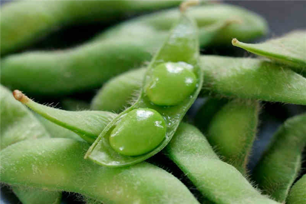 毛豆吃了會脹氣嗎 為什么毛豆吃多了會肚脹 毛豆吃了會脹氣嗎 為什么毛豆吃多了會肚脹