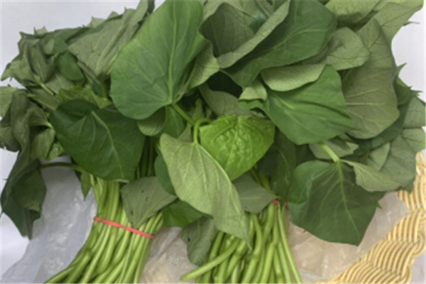 紅薯葉什么季節(jié)吃最好 紅薯葉怎么挑選才嫩 紅薯葉什么季節(jié)吃最好 紅薯葉怎么挑選才嫩
