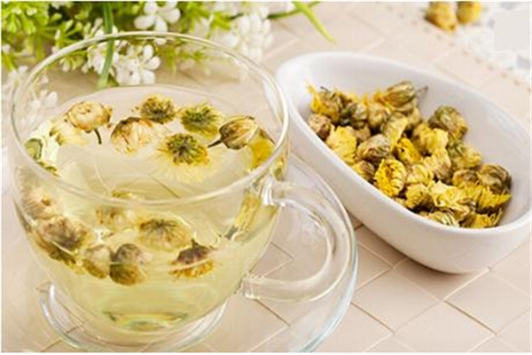 菊花茶泡了為什么會變綠 菊花茶怎么泡才正確 菊花茶泡了為什么會變綠 菊花茶怎么泡才正確