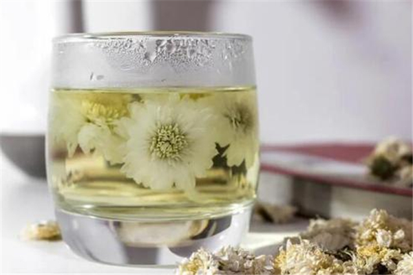 菊花茶泡了為什么會變綠 菊花茶怎么泡才正確 菊花茶泡了為什么會變綠 菊花茶怎么泡才正確