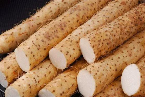 山藥有幾個品種 山藥哪個品種好吃 山藥有幾個品種 山藥哪個品種好吃