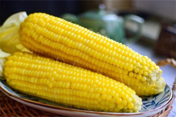 煮玉米的時(shí)候要放鹽嗎 煮玉米為什么要放鹽 煮玉米的時(shí)候要放鹽嗎 煮玉米為什么要放鹽