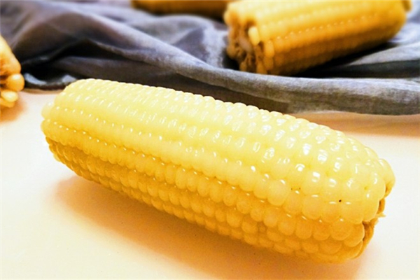 煮玉米的時(shí)候要放鹽嗎 煮玉米為什么要放鹽 煮玉米的時(shí)候要放鹽嗎 煮玉米為什么要放鹽