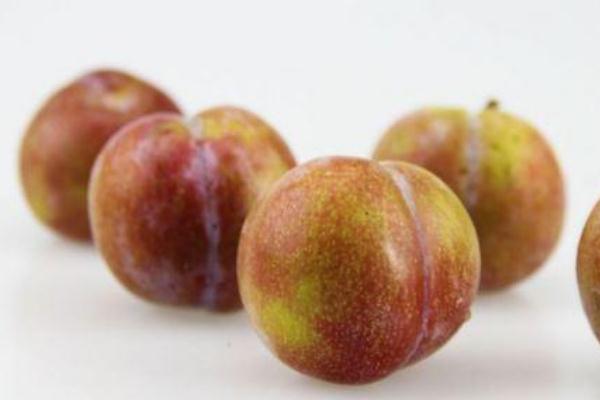 吃李子對(duì)胃有什么影響 胃不好能吃李子嗎 吃李子對(duì)胃有什么影響 胃不好能吃李子嗎