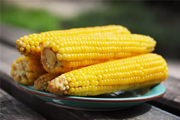 煮玉米的水能喝嗎 煮玉米的水有什么功效和作用 煮玉米的水能喝嗎 煮玉米的水有什么功效和作用
