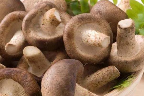 香菇有毒性嗎 新鮮香菇不過(guò)水有毒嗎