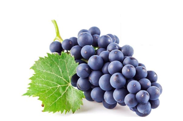 巨峰葡萄的功效與作用 巨峰葡萄為什么叫巨峰 巨峰葡萄的功效與作用 巨峰葡萄為什么叫巨峰